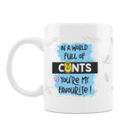 mugg-it-custom-printed-mugs-in-a-world-full-of-cunts-4